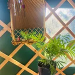 A Magical Cosy Garden Yurt 3* Tranaha