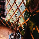 A Magical Cosy Garden Yurt Gasthof