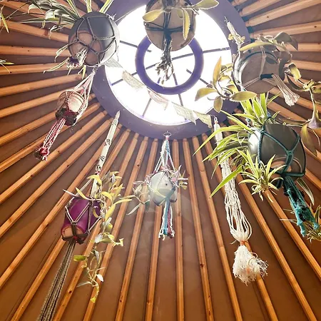 Pensionat A Magical Cosy Garden Yurt Whiddy Island