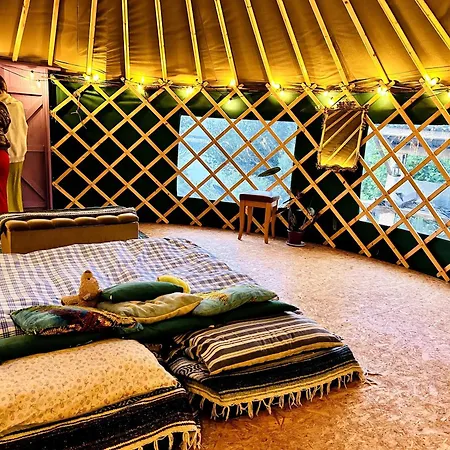 A Magical Cosy Garden Yurt Pensionat