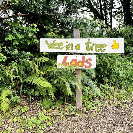 A Magical Cosy Garden Yurt Pensionat