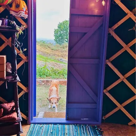 Pensionat A Magical Cosy Garden Yurt