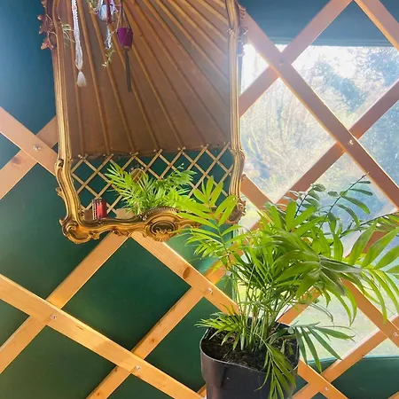 A Magical Cosy Garden Yurt 3* Whiddy Island