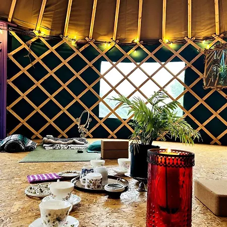 A Magical Cosy Garden Yurt Pensionat