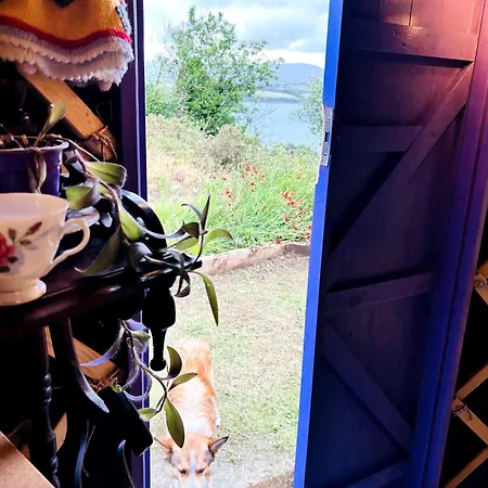 Pensionat A Magical Cosy Garden Yurt Whiddy Island