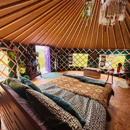 A Magical Cosy Garden Yurt Tranaha