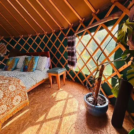 A Magical Cosy Garden Yurt Gasthof Tranaha