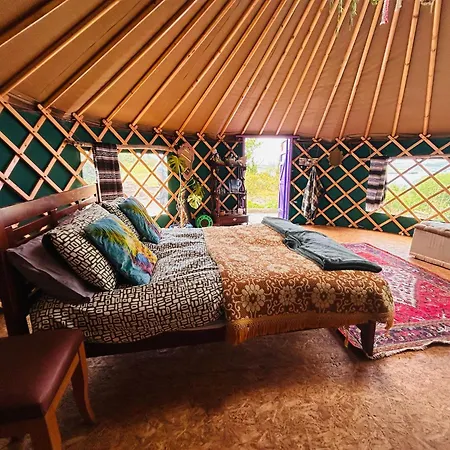 A Magical Cosy Garden Yurt Tranaha