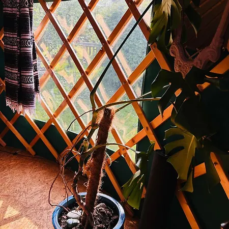 A Magical Cosy Garden Yurt Гостевой дом