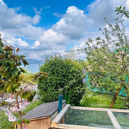 A Magical Cosy Garden Yurt Gasthof Tranaha