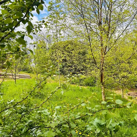 A Magical Cosy Garden Yurt Gasthof