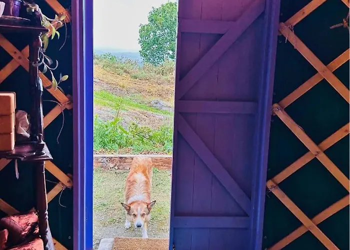 게스트하우스 A Magical Cosy Garden Yurt