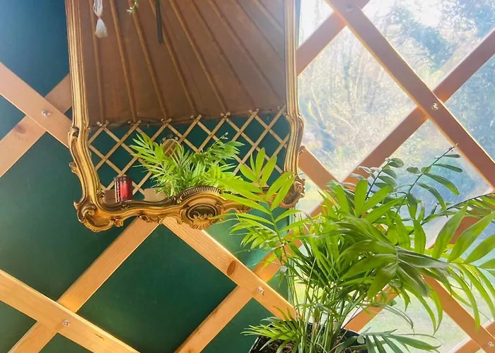 A Magical Cosy Garden Yurt 3* Whiddy Island